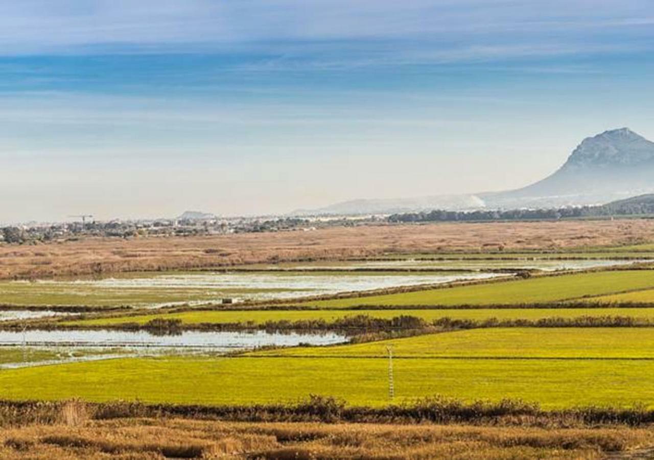 Oliva Holidays 4 Dış mekan fotoğraf